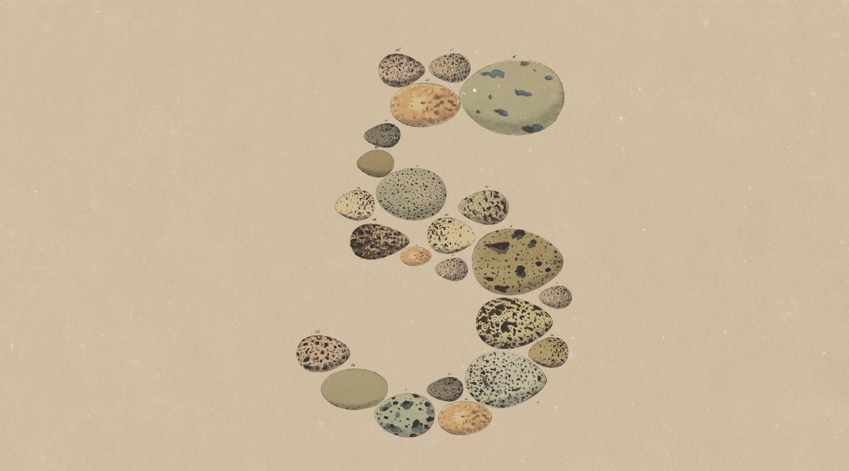 Anthropic wypuszcza Claude Opus 5: poziom modelu Fable 5 za połowę ceny
