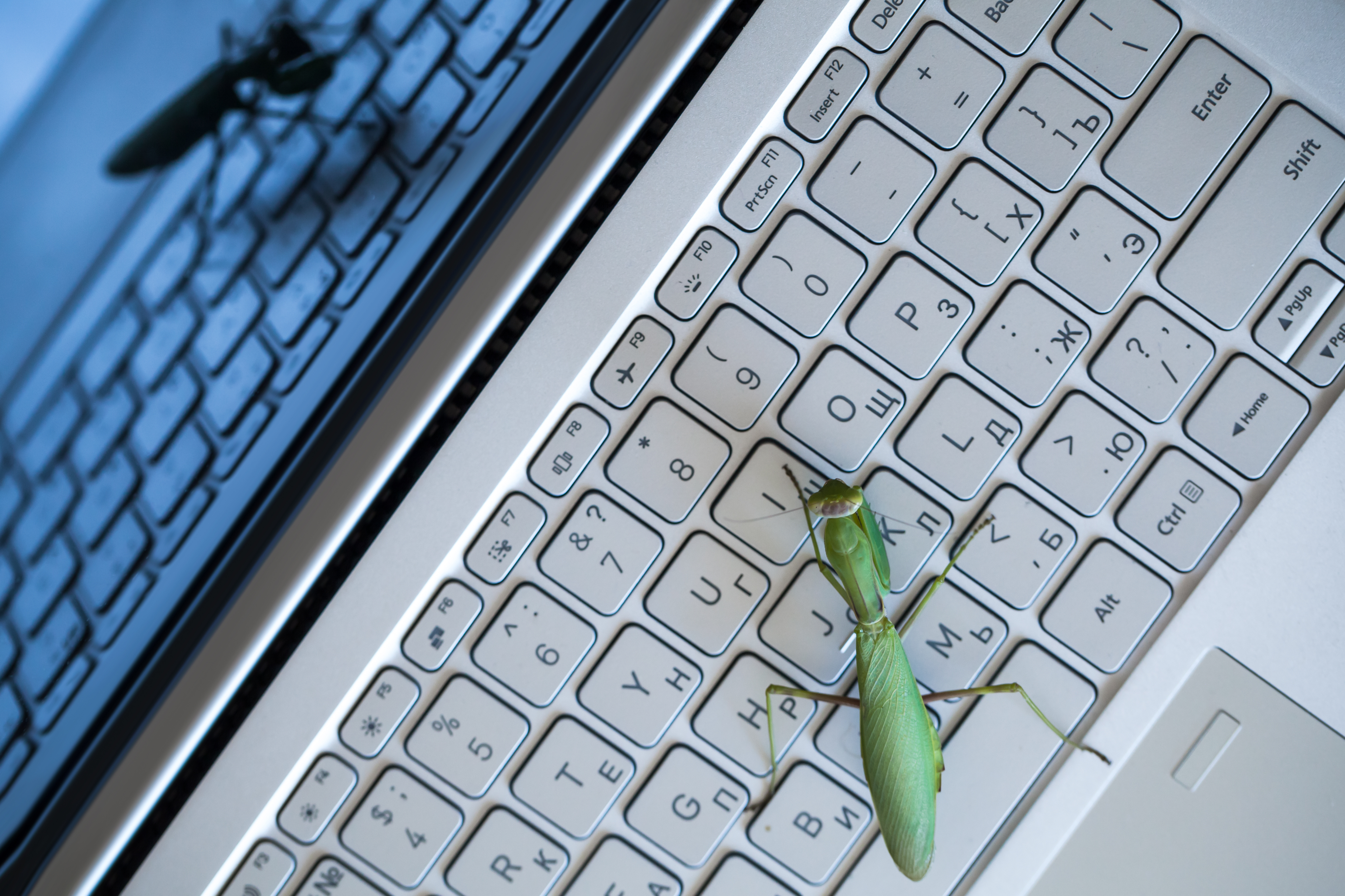 LibreOffice 26.8 świadomie rezygnuje z generatywnej AI