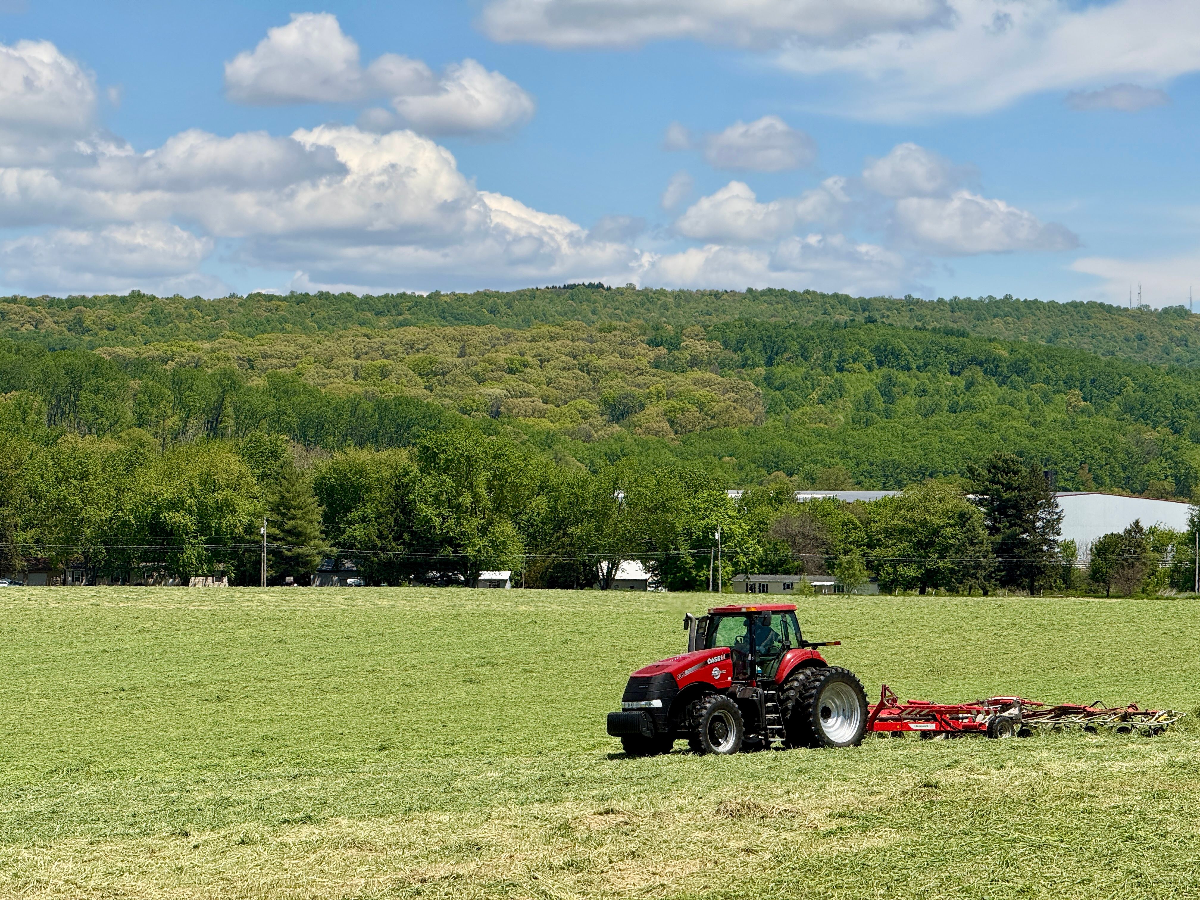 Poland Launches 160 Million Zloty Farmer Portal, Plans AI Voice Assistant Plonek