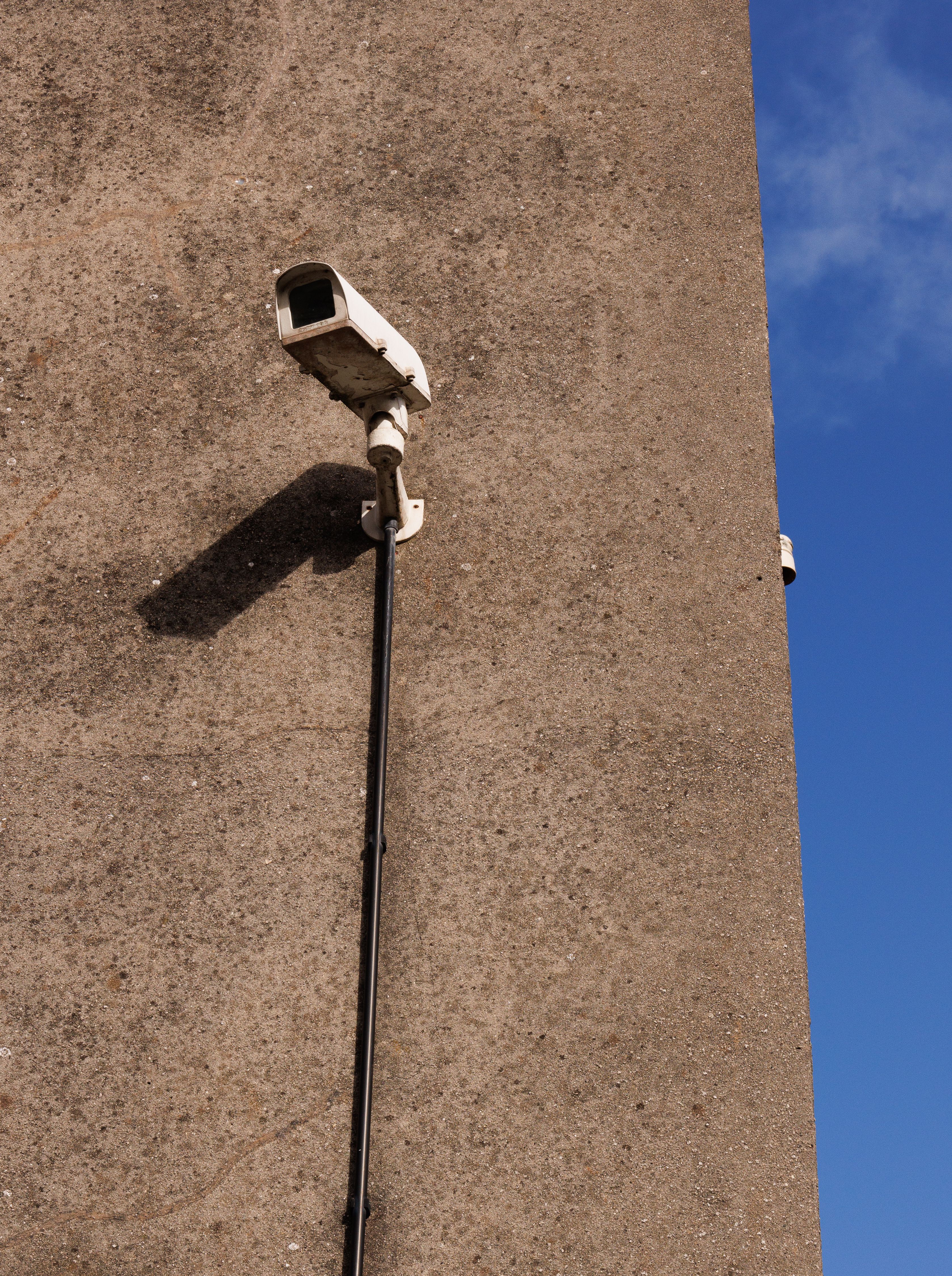 Reolink Launches OMVI Cameras With Local AI, No Cloud Subscription